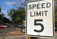 Zatrzymanie prawa jazdy na 3 miesiące – nowe przepisy